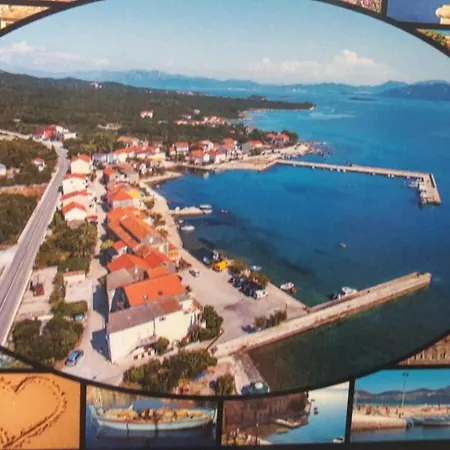 Zdravko *