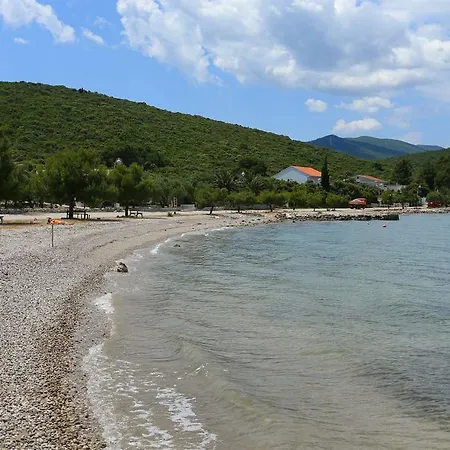 Zdravko